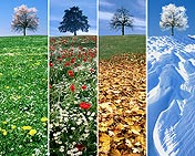 001074  Four Seasons