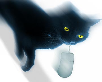 003310   Cat & Mouse