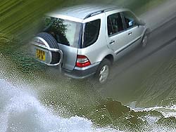 ML9.jpg (17115 bytes)