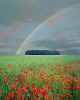 000099m Poppy-field