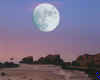 000486 GB: Moon over sea