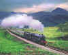 410077 GB/Scotland: "The West Highlander" steam train