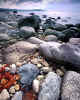 971062 GB: Dougair Point on Arran