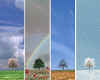 003144  Four Seasons concept