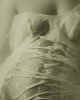003199  The Temptress