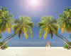 003276  The Beach (concept)
