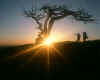 805828  USA: Yosemite Nat.Park