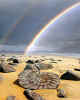 991604x   Jurassic Beach
