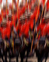 991679v  CDN: Mounties at Calgary
